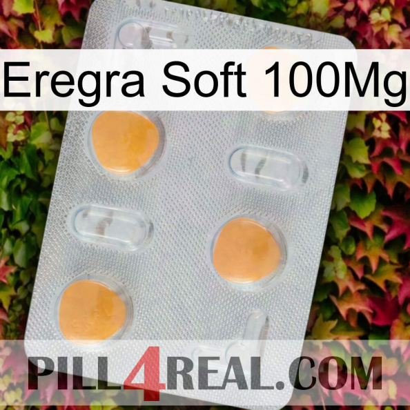 Eregra Soft 100Mg 24